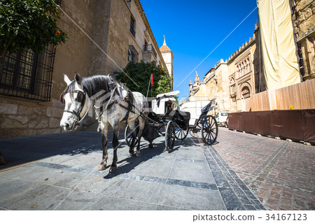 Traditional Horse and Cart at Cordoba Spain  34167123