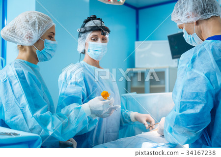 Competent doctor looking at her assistant Competent doctor looking at her assistant 34167238