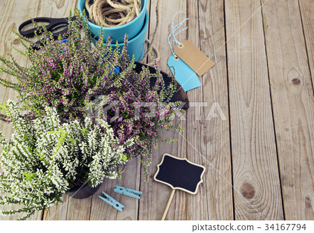 Fresh heather and garden tools. Preparing for 34167794