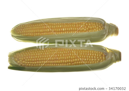 玉米 玉米 34170032