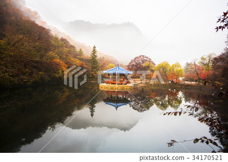 Uhwajeong,Jinsa,Busan,Jeongeup,Jeonbuk Uhwajeong,Jinsa,Busan,Jeongeup,Jeonbuk 34170521