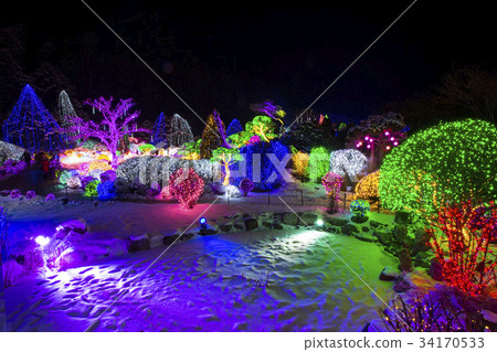 Morning Calm Arboretum, Gapyeong-gun, Gyeonggi-do Morning Calm Arboretum, Gapyeong-gun, Gyeonggi-do 34170533