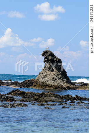 Godzilla Rock Noto Gull 34171221