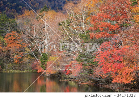 秋天的Oku Nikko Yuno湖（Yutaki附近） 34171328