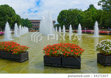 Colorful flower bed, hanging moss and blue sky of fountain square of Ueno Park 34171937