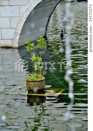 風景 池 庭院 植物 中國庭園 中式庭園 公園 池塘 池子 中國風 水池 流水 鴨 風景 池 庭院 植物 中國庭園 中式庭園 公園 池塘 池子 中國風 水池 流水 鴨 34173373