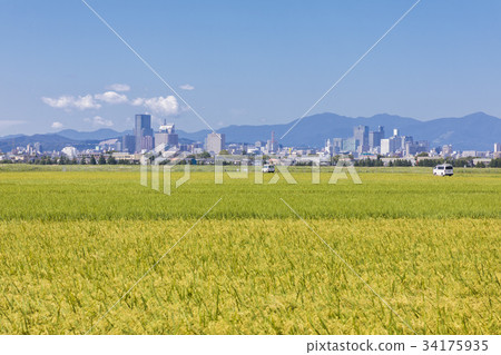 仙台市區001 34175935