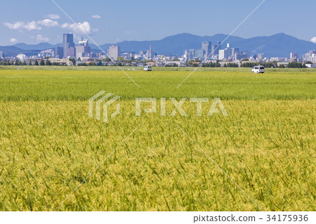 仙台市區002 仙台市區002 34175936