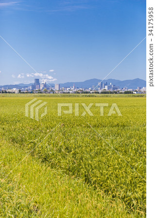 仙台市區023 34175958