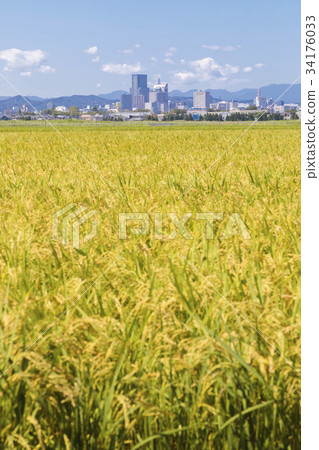 仙台市區045 仙台市區045 34176033