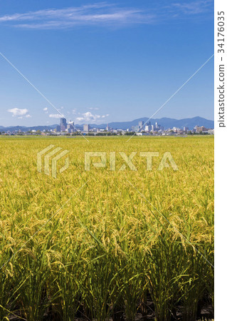 仙台市區047 34176035