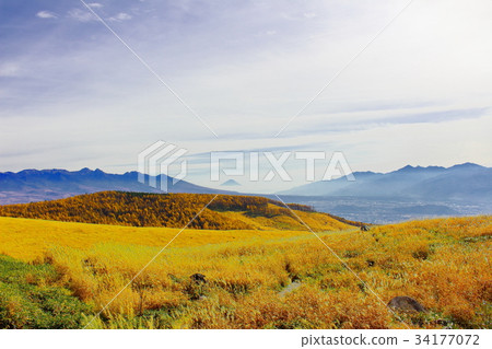 Beautiful plateau No. 52: Autumn leaves of Shinshu part 73 Beautiful plateau No. 52: Autumn leaves of Shinshu part 73 34177072