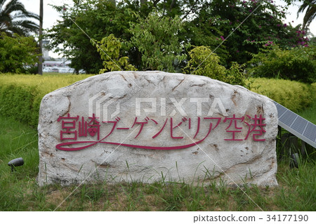 In front of Miyazaki Bougainvillea Airport In front of Miyazaki Bougainvillea Airport 34177190