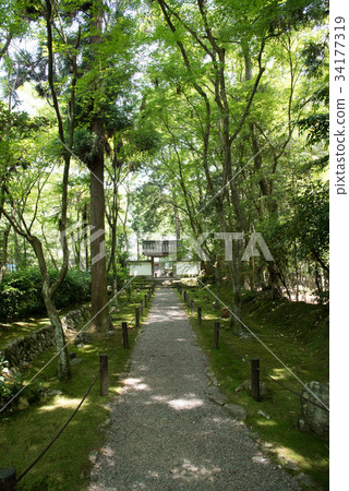 竹寺Jizoin 34177319