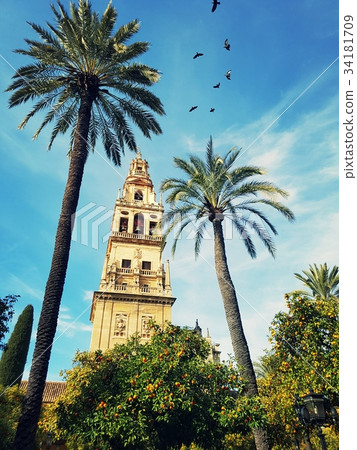 Cathedral of Cordoba, Andalucia Spain Cathedral of Cordoba, Andalucia Spain 34181709