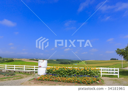 Scenery of Biei 34181961