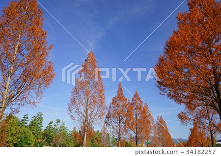 Late autumn Late autumn 34182257