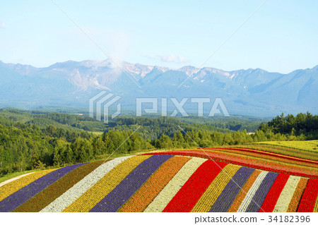 Shikisai Ayako Shikisai Ayako 34182396