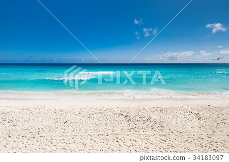 Caribbean sea coastline Caribbean sea coastline 34183097