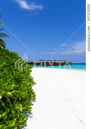 water bungalows at maldivian island water bungalows at maldivian island 34183098