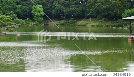 Kiyosumi花園池塘 34184916