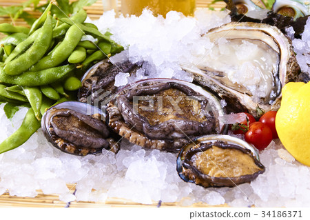 Abalone Abalone 34186371