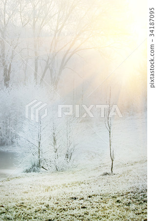 Frozen winter forest path Frozen winter forest path 34187095