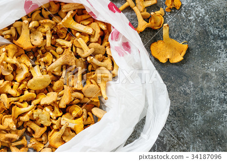 Forest mushrooms chanterelle 34187096