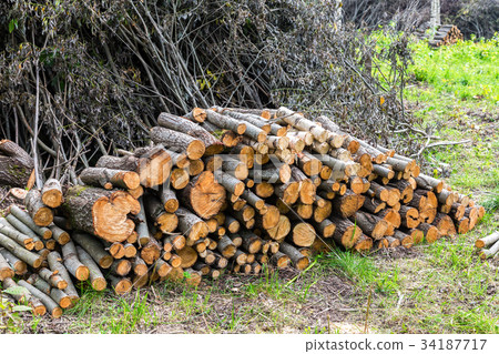 Stock pile of timber, chopped down trees  34187717