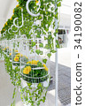Bird Cages Decoration 34190082