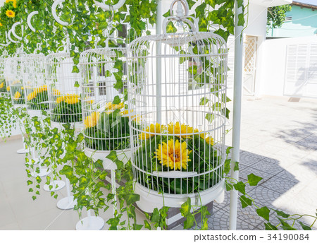 The Bird Cages Decoration 34190084