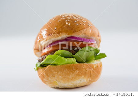Close up of onion rings and french fries with burger 34190113