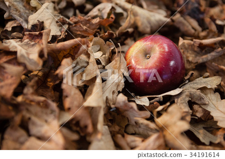 Warm clothing with watch on white background 34191614