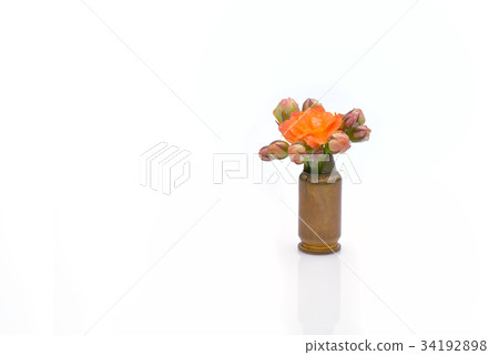 Orange watercolor flower into a riffle bullet 34192898