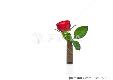 Red rose in riffle bullet symbolizing flower power Red rose in riffle bullet symbolizing flower power 34192899