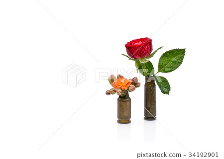 Red rose and orange watercolor flower in a bullets 34192901