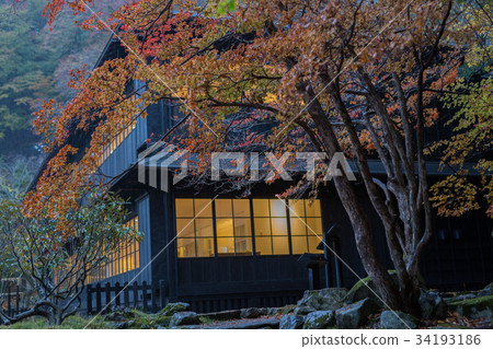 Autumn sunlight Italy embassy villa memorial park Autumn sunlight Italy embassy villa memorial park 34193186