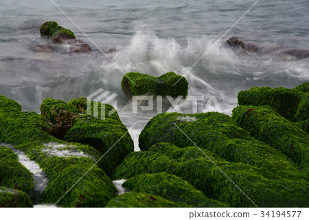 台灣 風景 老梅綠石槽 老梅石槽 海 心 浪 浪花 情人節 海藻 千年冰心 岩石 植物 綠 戀愛 34194577