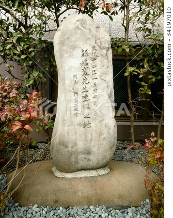 Place of birth of Niijima Island Place of birth of Niijima Island 34197010