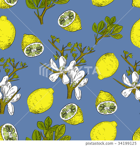 Vector drawn citrus seamless pattern on blue - Stock Illustration ...