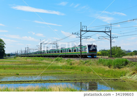 鄉村景觀和火車 34199603