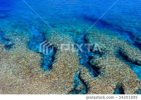 國頭郡Hedo Tooru 34201895