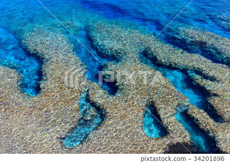 國頭郡Hedo Tooru 34201896