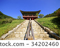 蛇，榮州，慶北 34202460