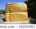 Wah Buddhism，Mishamasa，Buyeo，Chungnam 34202461