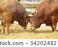 Soukow，Boeun-gun，Chungbuk 34202482