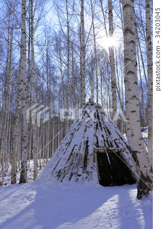 Duck, Birch, Inje County, Gangwon Province 34203045