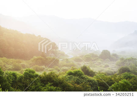 江原道仁濟縣 34203251