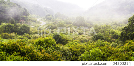 江原道仁濟縣 34203254