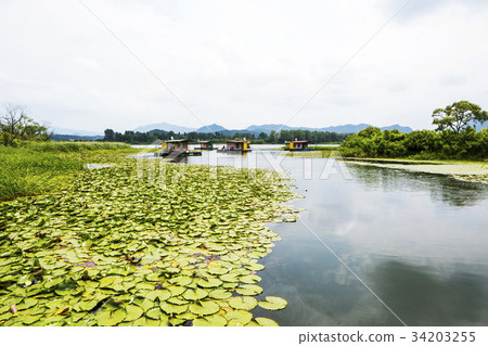 Fishing spot, Uiam lake, Chuncheon city, Gangwon province 34203255